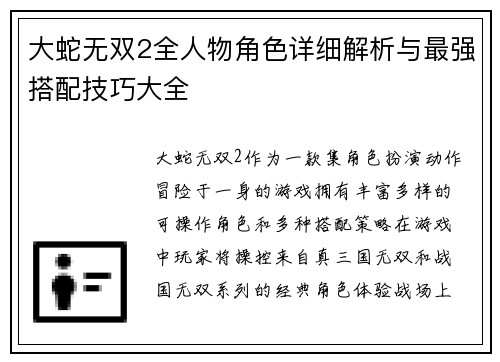 大蛇无双2全人物角色详细解析与最强搭配技巧大全